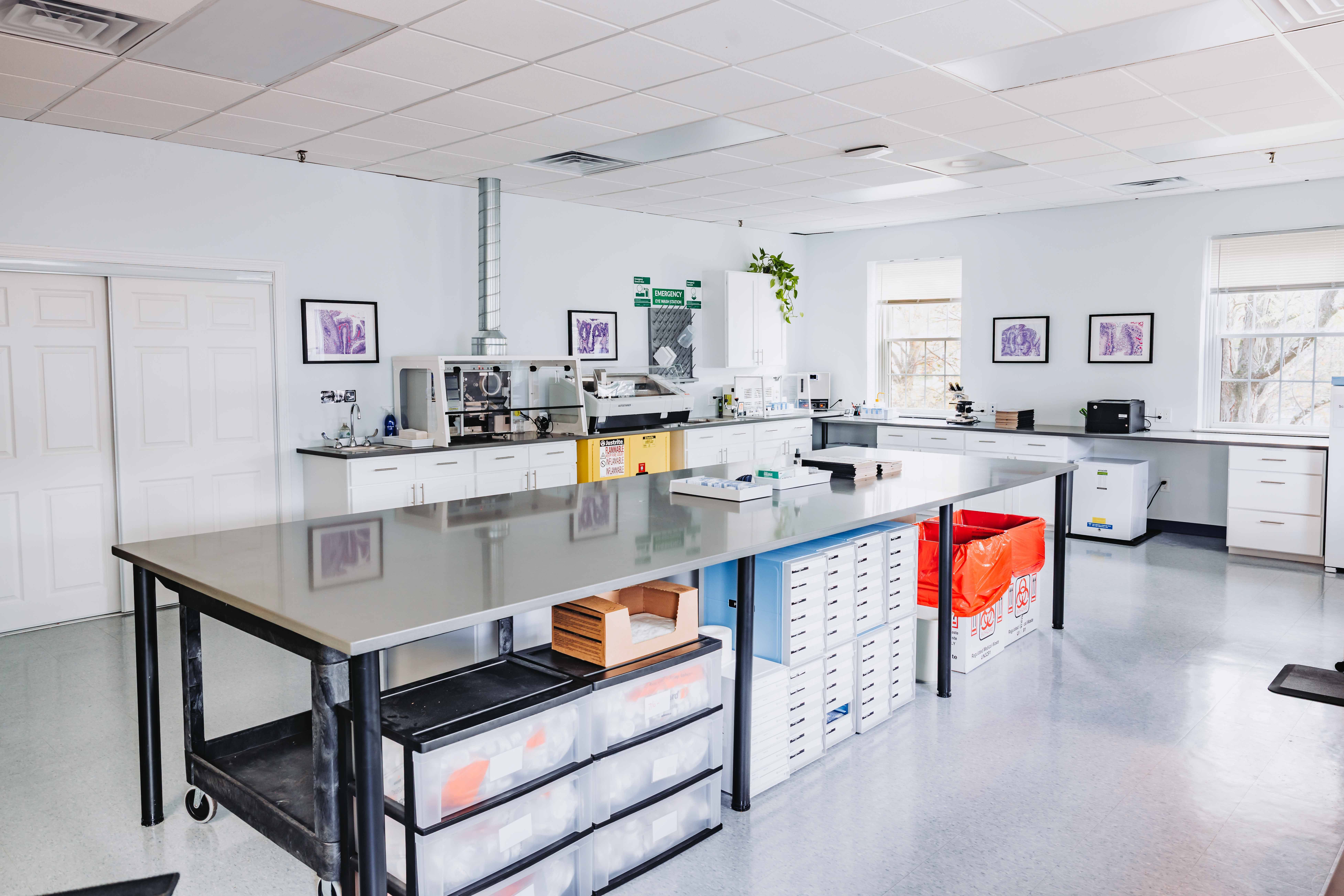 In the lab at Starling Labs